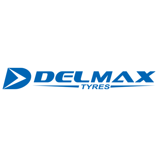 Шины от Delmax