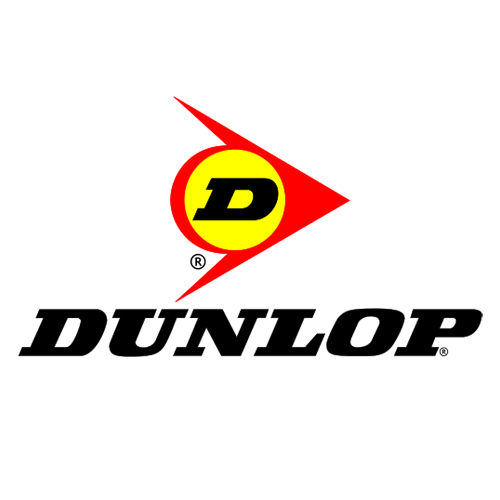 Шины от Dunlop