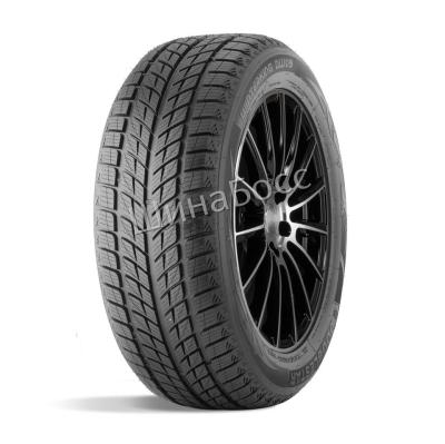 Шины Зимние шины DoubleStar DW09 215/50 R17 91H